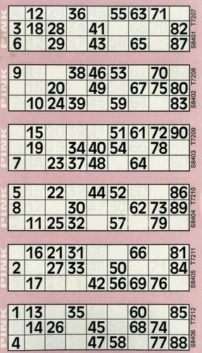 Bingo tickets - bingo, flyers